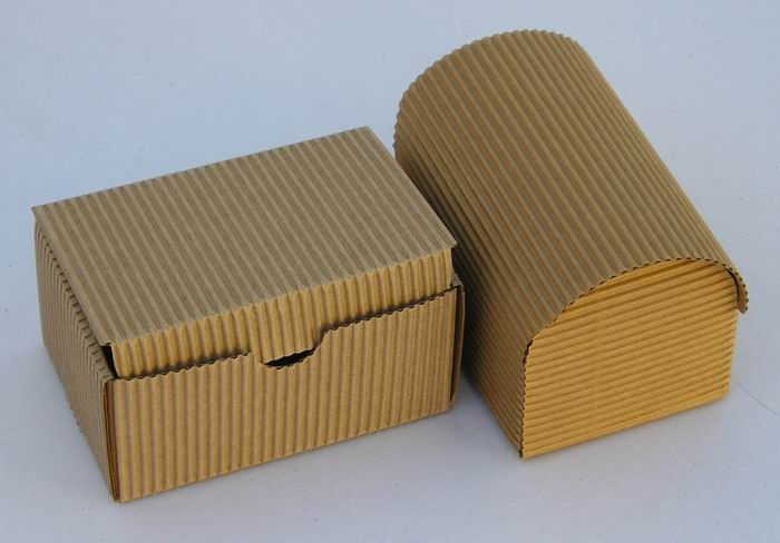 Caja de Cartón Negra Autoarmable 【25 x 20 x 7 cm】